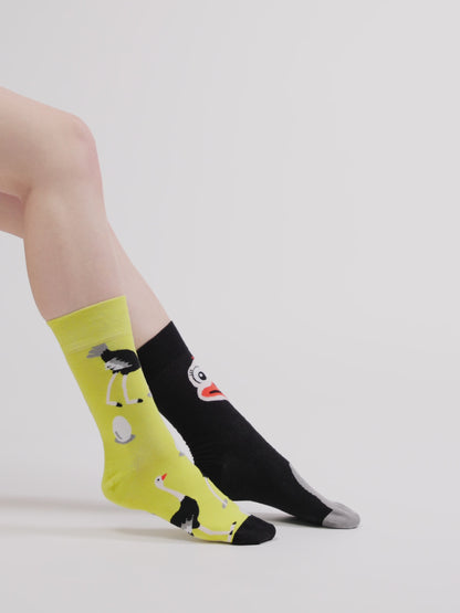 Živahne nogavice Noj